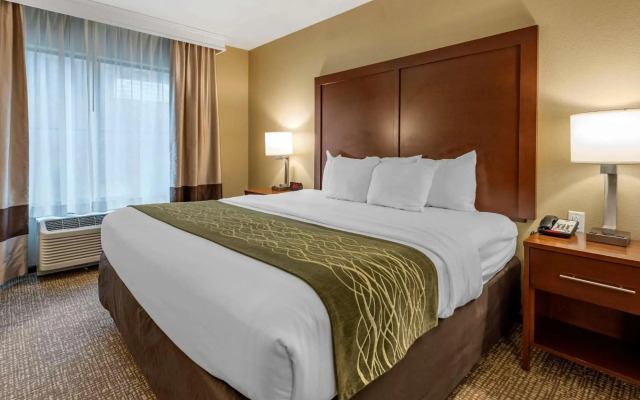 Comfort Inn and Suites