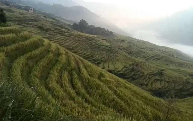 Yuanxiang Yayuan Inn