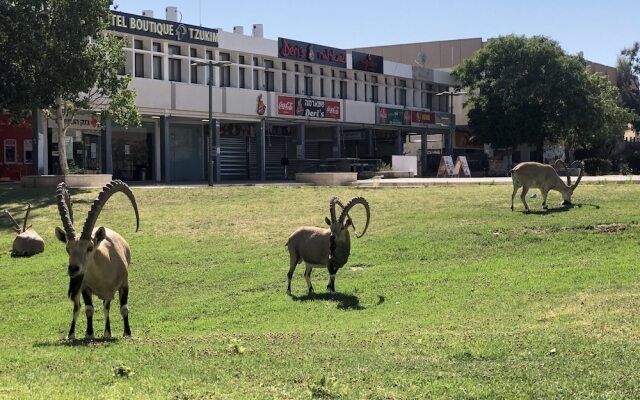 Boutique Hotel by Tzukim