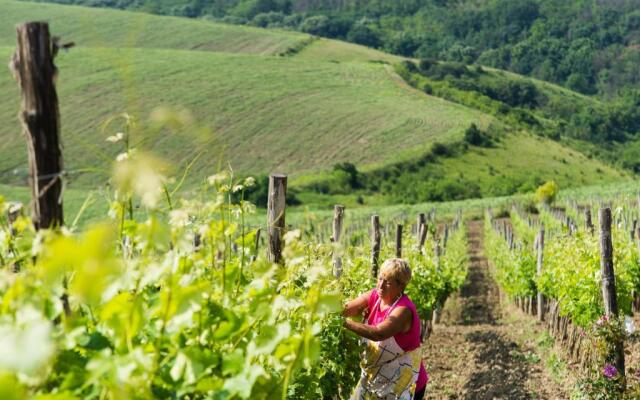 Seven Generations Winery Hotel & SPA
