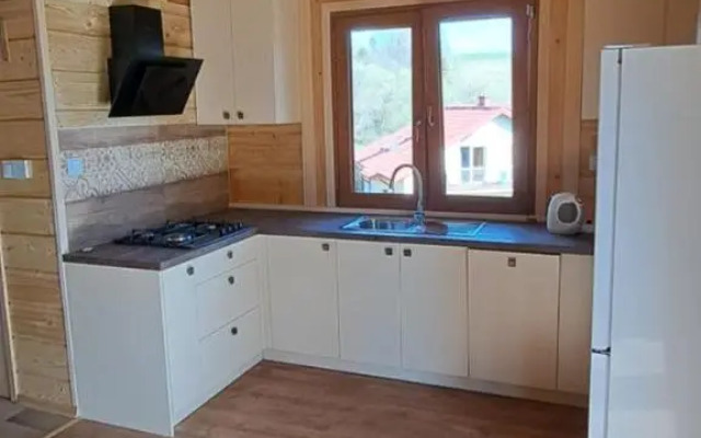 U Eskulapa Bieszczady