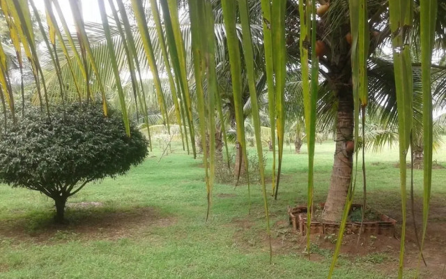 Suwanila Rest