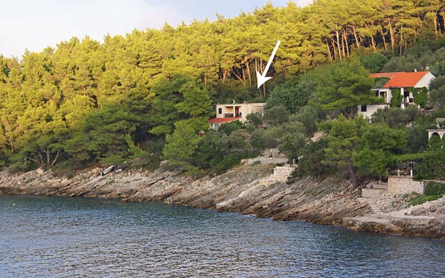 Apartment Dijana Cala Tuent 24127