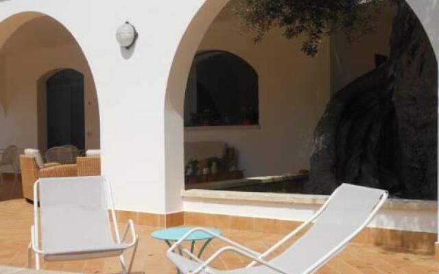 L'Ulivo Bed and Breakfast