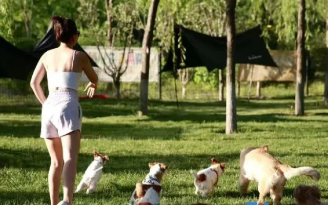 VALATOMS Fanlatu Homestay (Chengjiang Fuxian Lake)