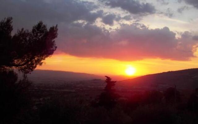 Azienda Agrituristica Il Moraiolo