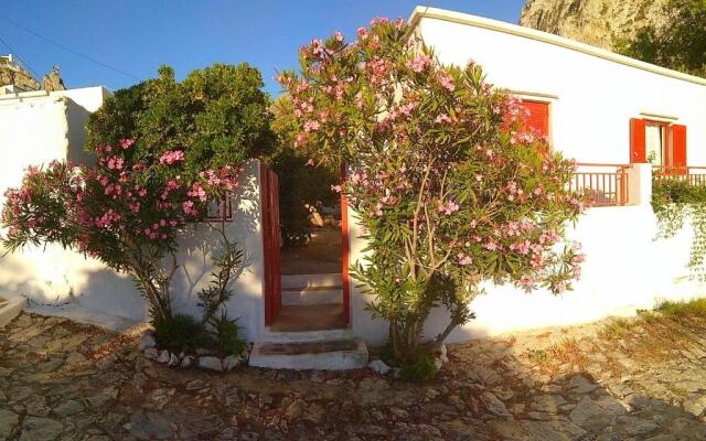 Almond trees house