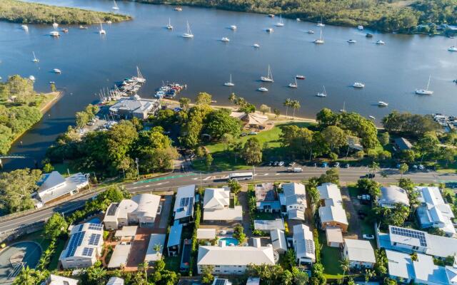 Noosa River Palms