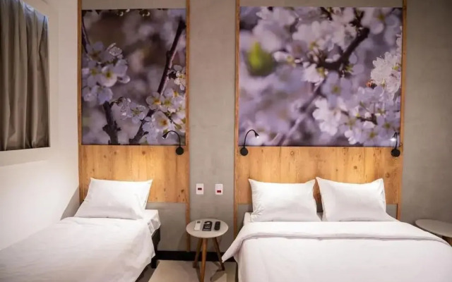 Campos De Holambra Inn