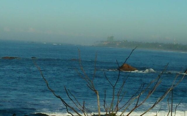 Galle Cemellia