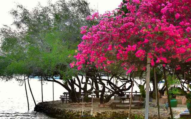 The C Samet Beach Resort