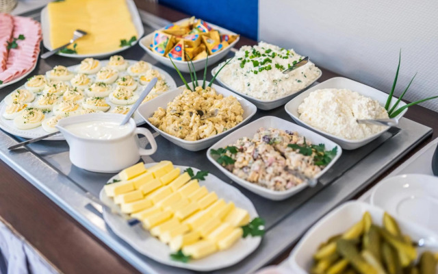 Hotel Piast