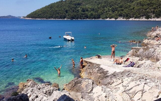 Apartmani Ančila