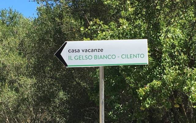 Il Gelso Bianco - Cilento