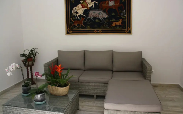House Of Orchids