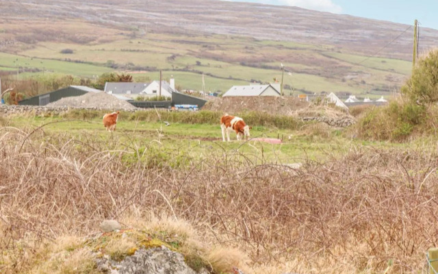 Cúnna Bán