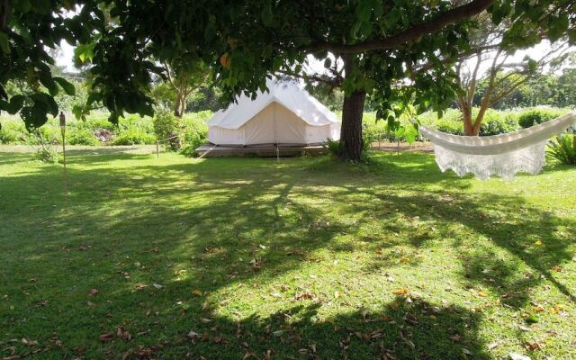 Pension Prussian Blue - Campsite