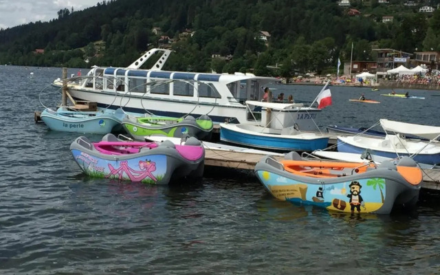 Le Quartz Des Hautes-Vosges
