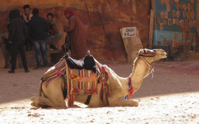 Petra Town Check-In Hotel