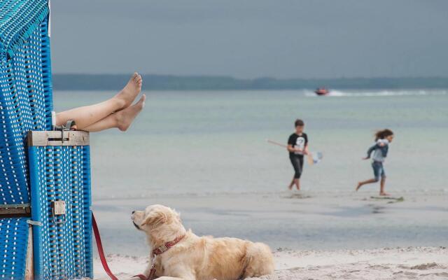 Ferienhaus im Ostseeresort Dampland in Perfekter Lage