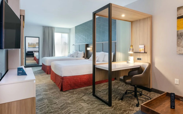 SpringHill Suites by Marriott Chattanooga South/Ringgold, GA
