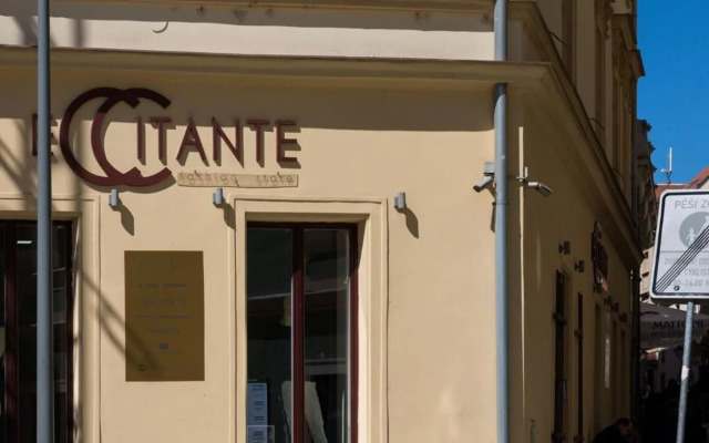 Luxury Apartments Zelny Trh 11