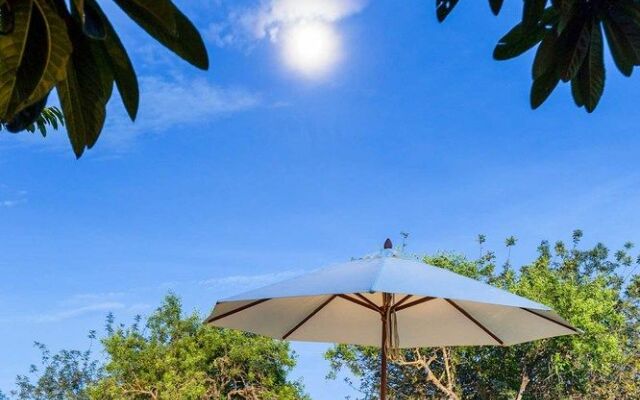 Ibiza Rocks House At Pikes