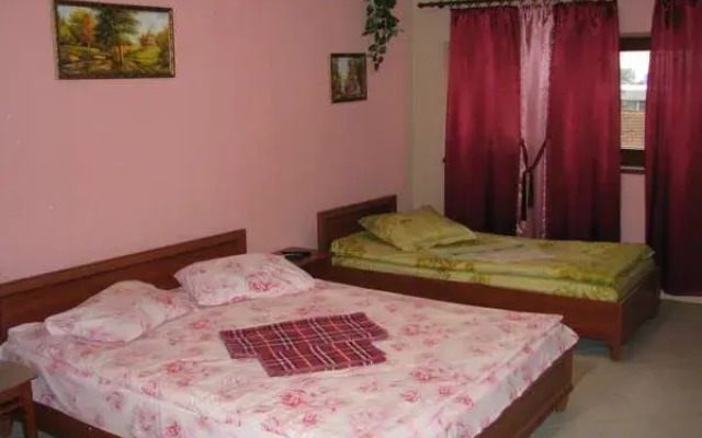 Hotel Virazh