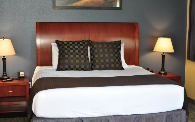 Cobblestone Inn & Suites - Newton