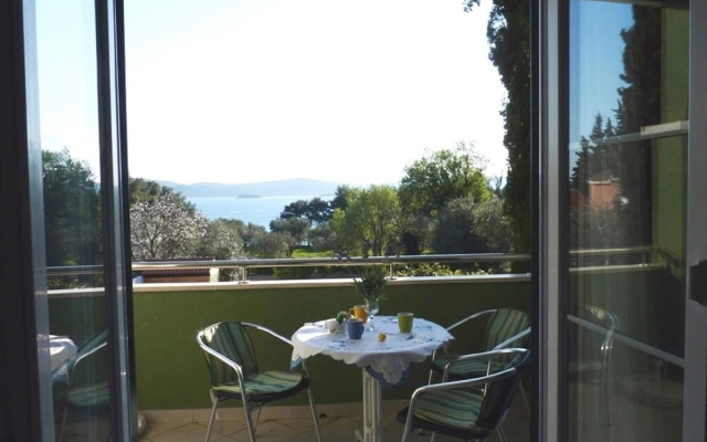 Viola - With Pool - A3