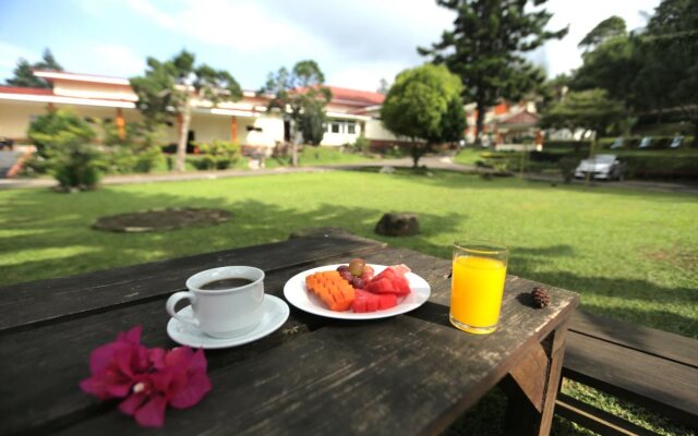Arra Lembah Pinus