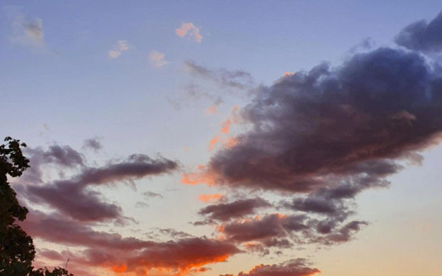 Apartment Jelena Sutvara