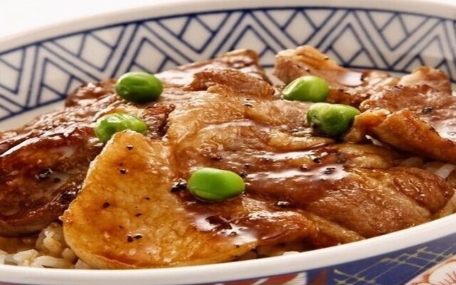 Hotel Nikko Northland Obihiro