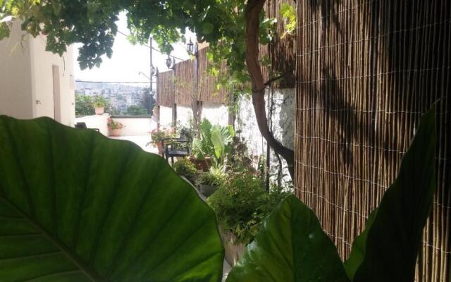 Rosana guest house