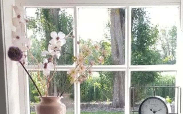 zomerhuisje by the sea