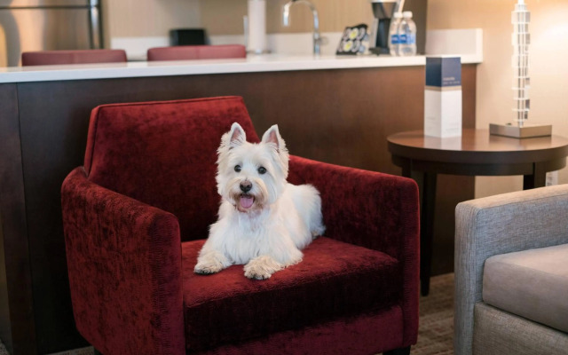 Residence Inn Chicago Downtown/Loop
