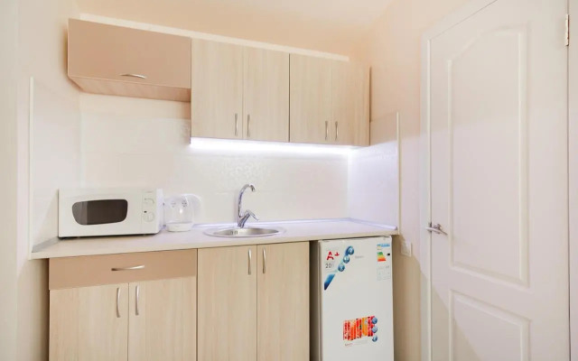 Deribasovskaya apartment