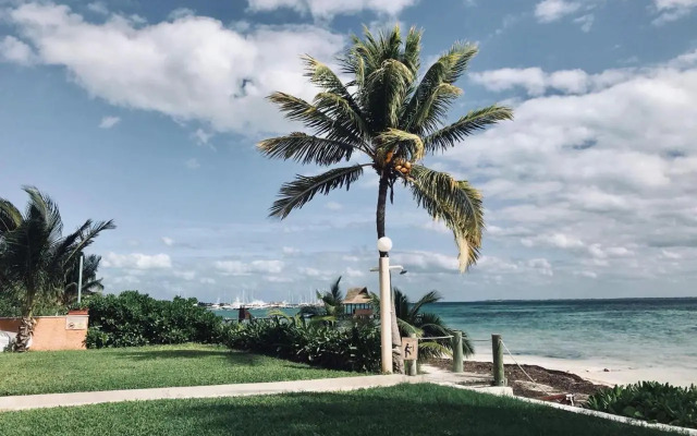 Flamingo Paradise Front by Cielo Maya