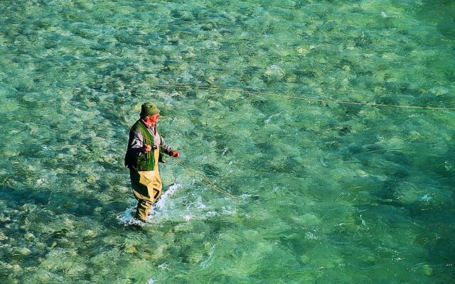 Apartment Honey Bee with Sauna