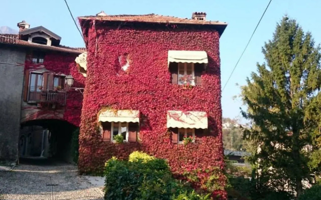 The Ivy House in the Castle