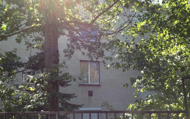 Platán apartman