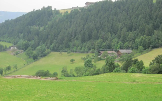 Schwabl auf der Ebene