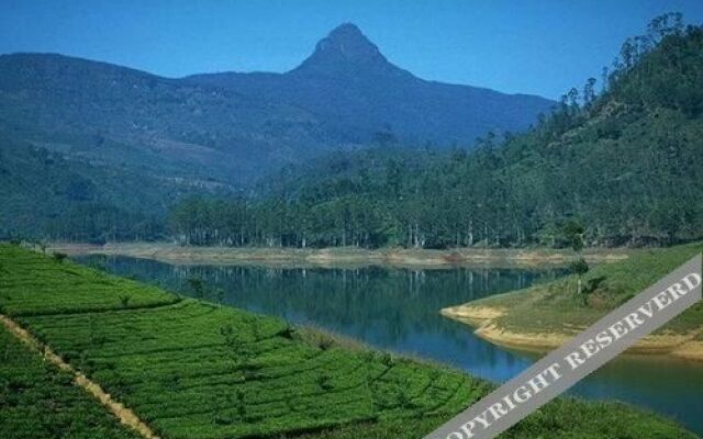 Adams Peak Inn