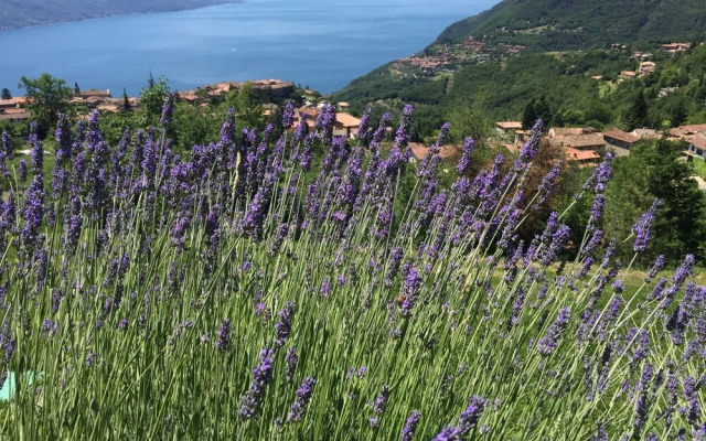 BnB Borgo le Vigne - La Vinaccia