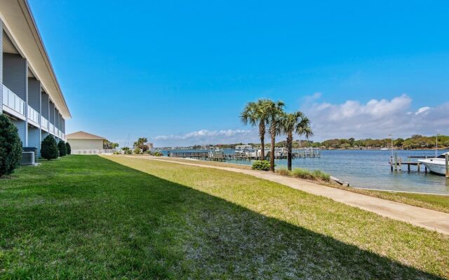 Pelican at Sound Side