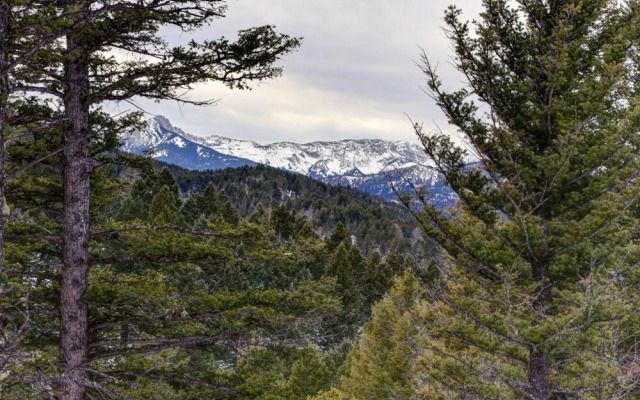 Bozeman - Grassy Ridge