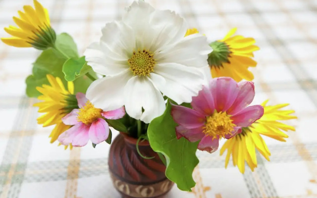 Spacious Apartment in Bizau near City Center