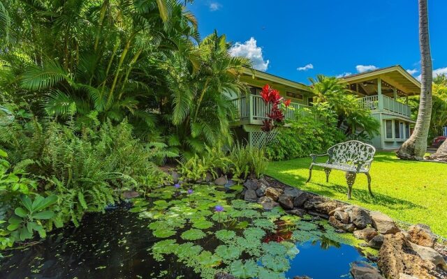 Maui Dolphin House 4 Bedroom Home