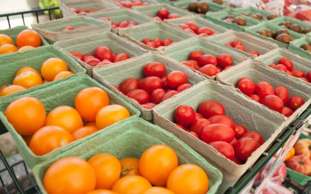 Crash Hotel Squamish