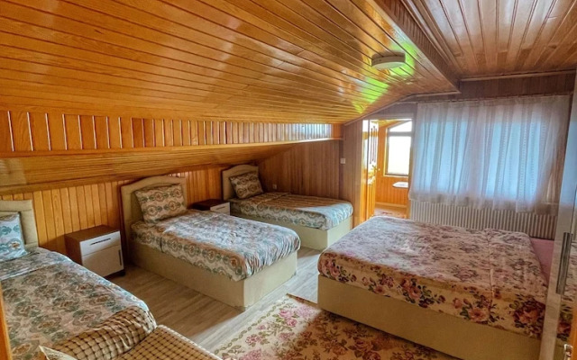 Uzungol Karester Villa Apart